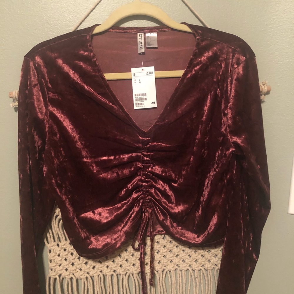 Burgundy velvet top